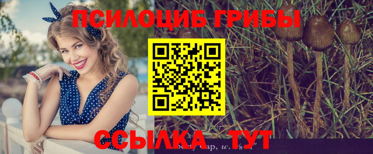 Кудрово  LSD-25  Меф кристаллы  Вход с VPN  MDMA  Гашиш  Гашиш  Кокаин  Марихуана 